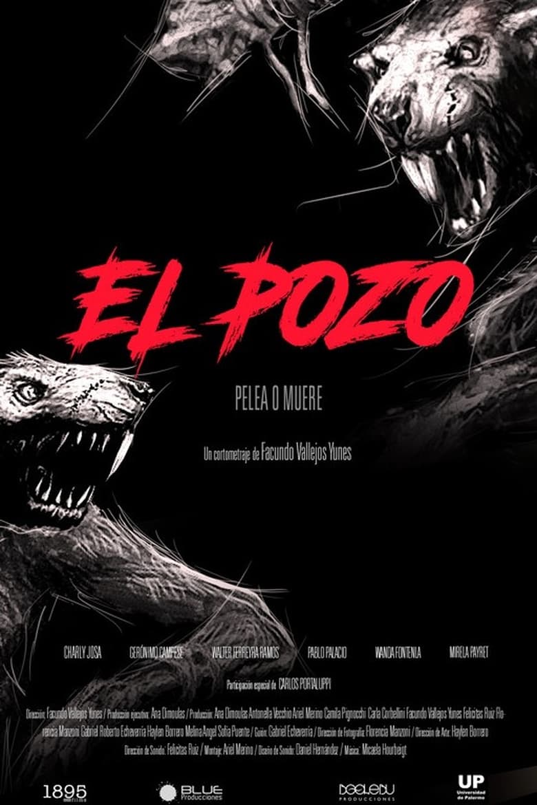 Poster of El pozo