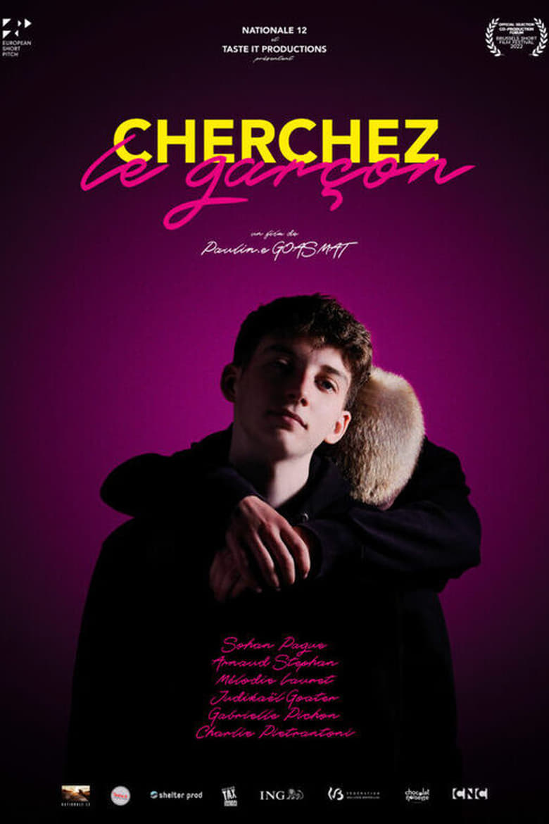 Poster of Cherchez le garçon