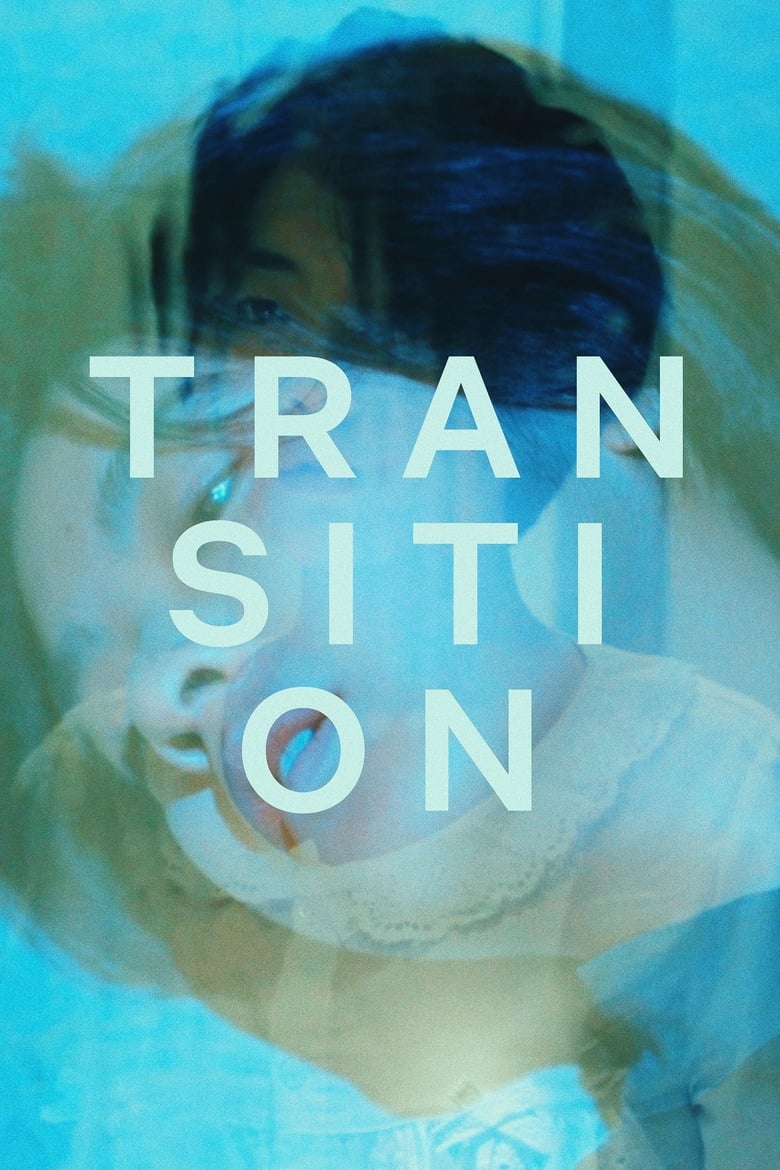 Poster of Transition