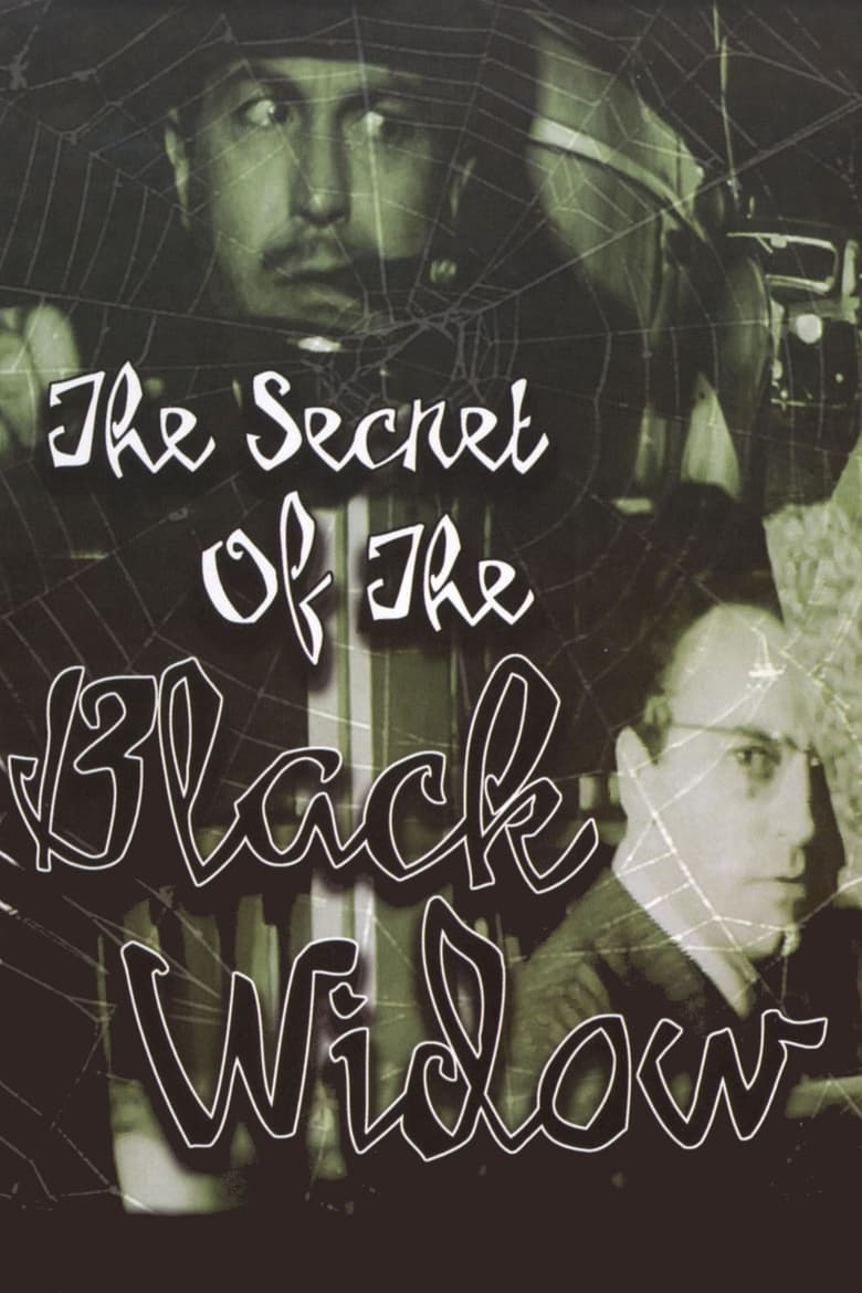 Poster of The Secret of the Black Widow