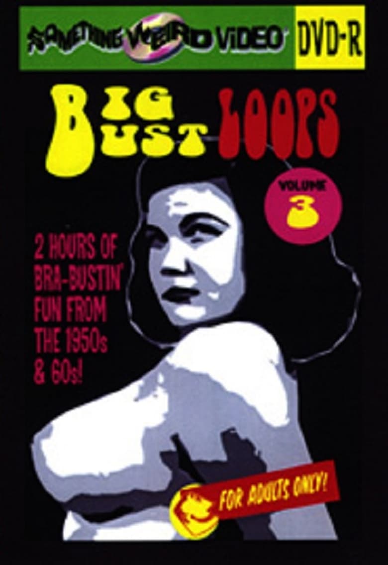 Poster of Big Bust Loops Volume 3