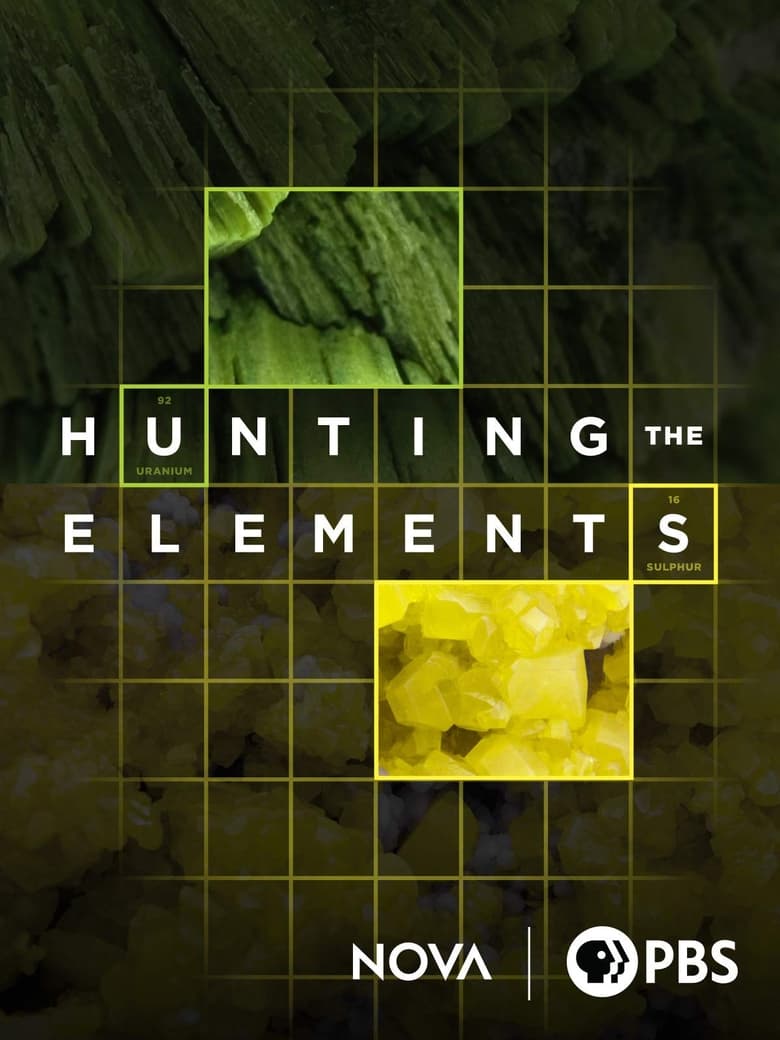 Poster of Hunting the Elements