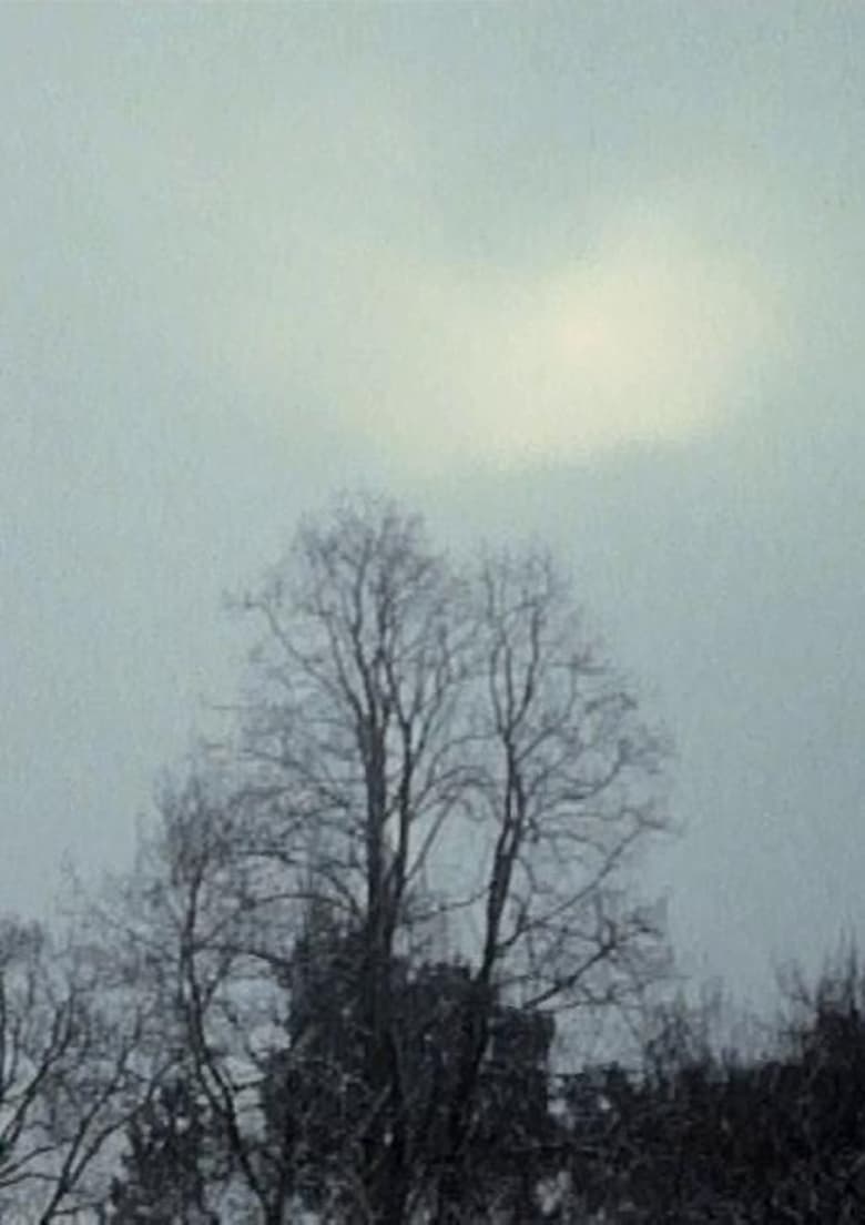 Poster of Hanging Upside Down in the Branches