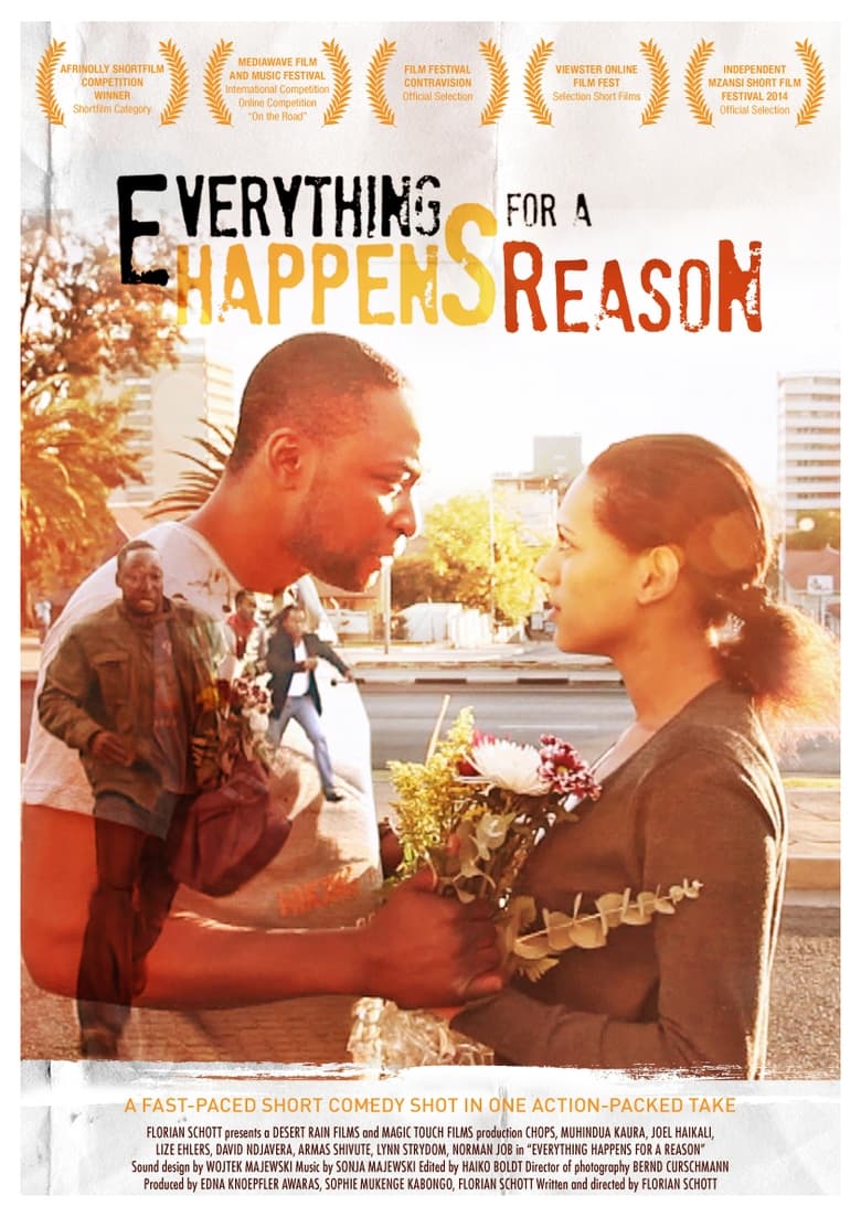 Poster of Everything Hapens for a Reason