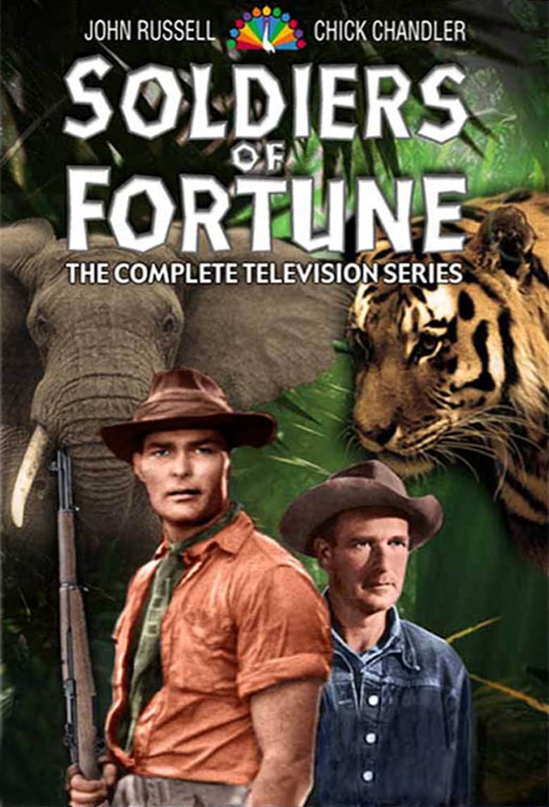 Poster of Soldiers of Fortune