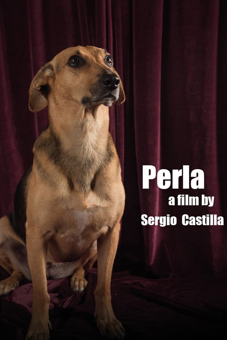 Poster of Perla