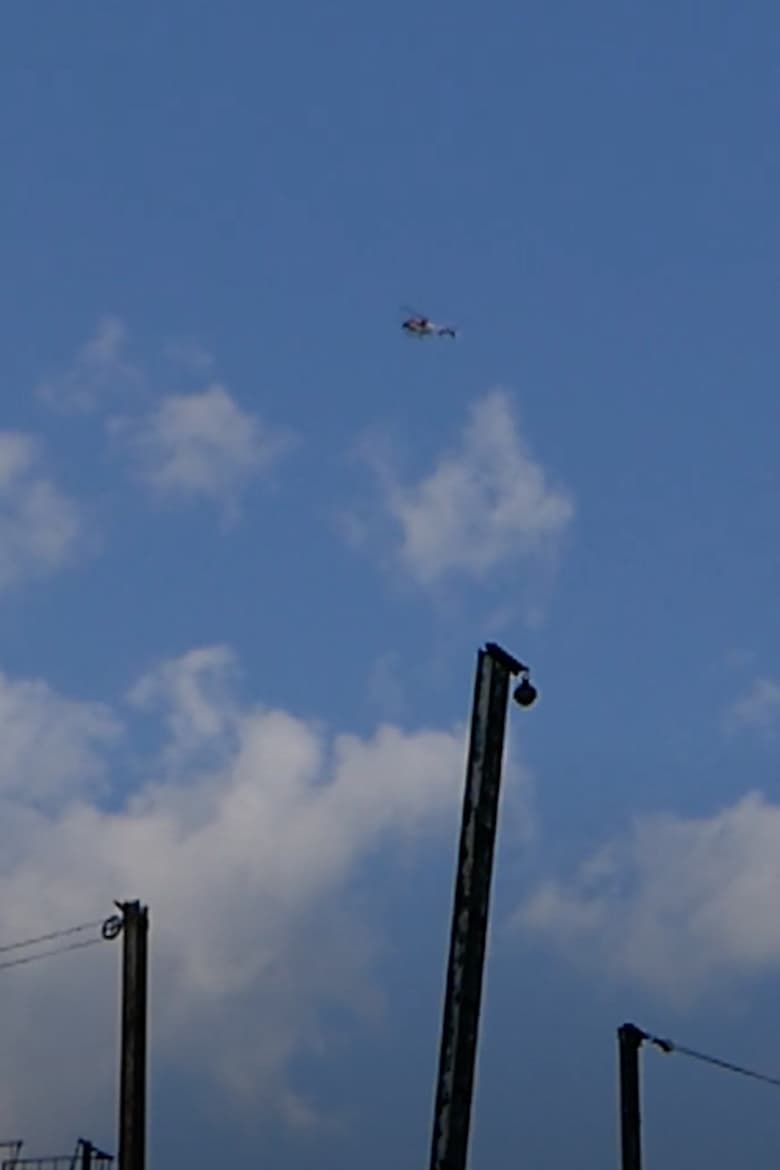 Poster of Flying Over Brooklyn