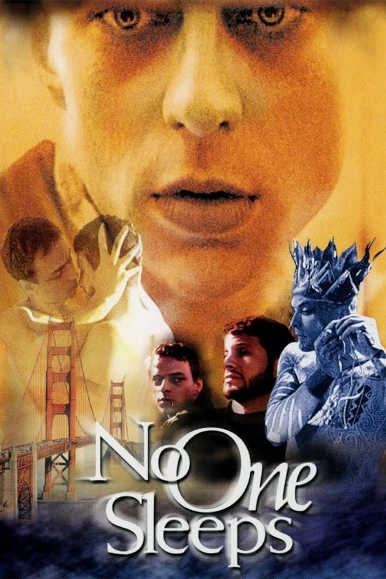 Poster of No One Sleeps