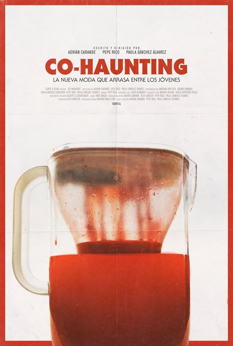 Poster of Co-Haunting