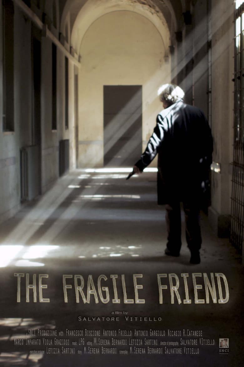 Poster of The Fragile Friend