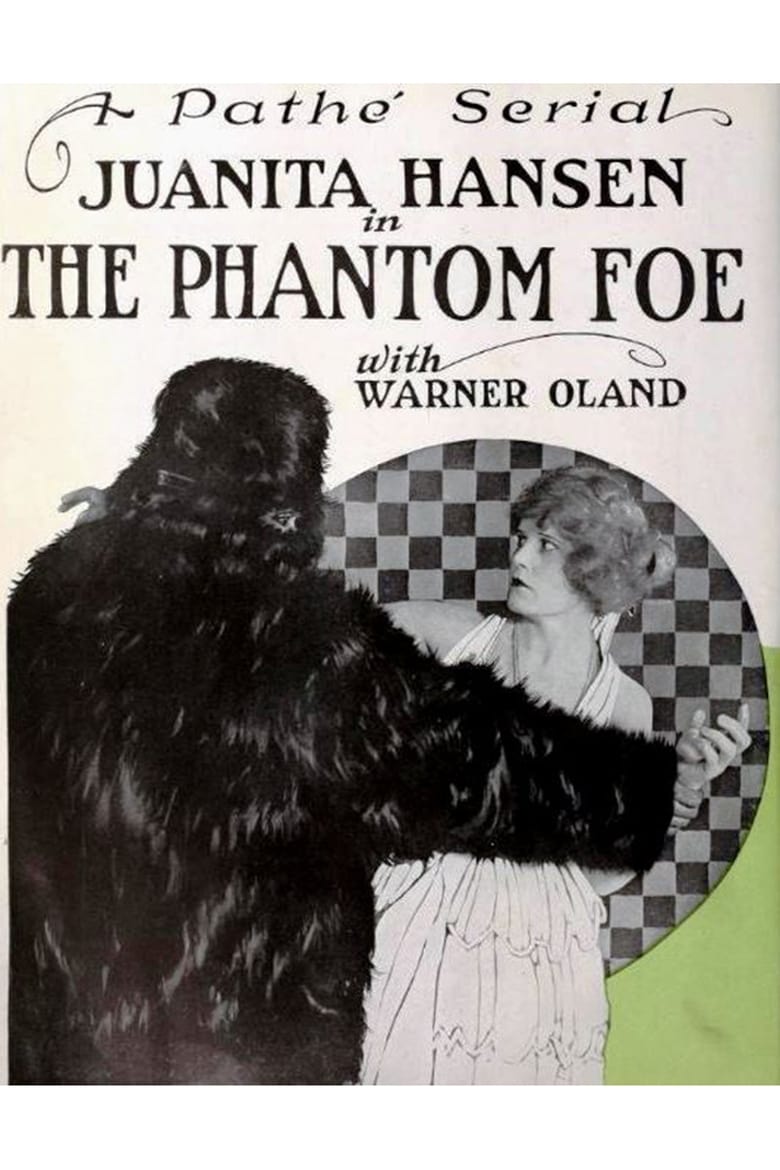 Poster of The Phantom Foe