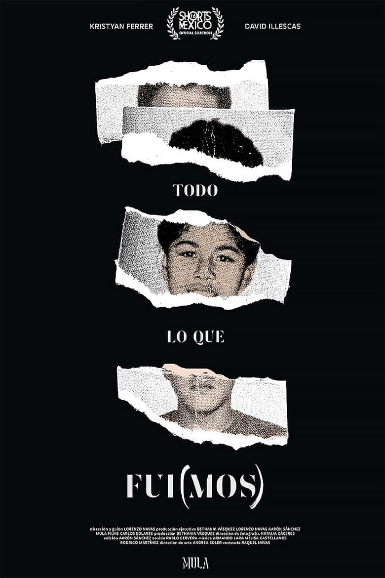 Poster of Todo lo que fui(mos)