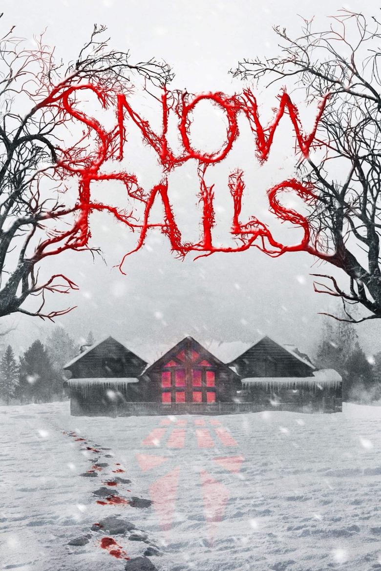 Poster of Snow Falls