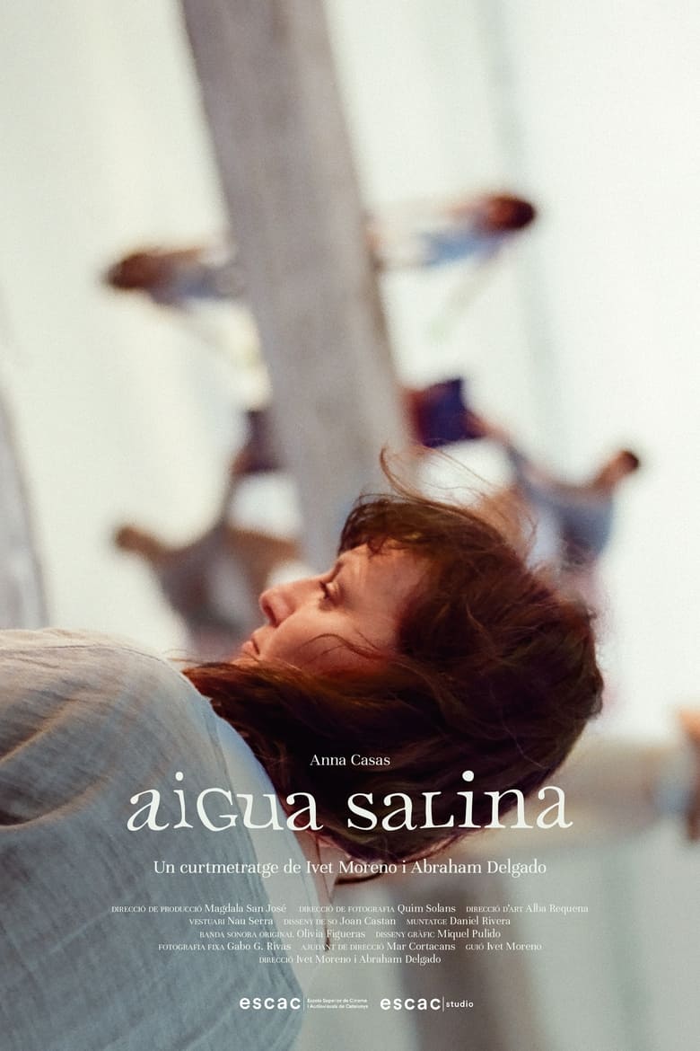 Poster of Aigua Salina