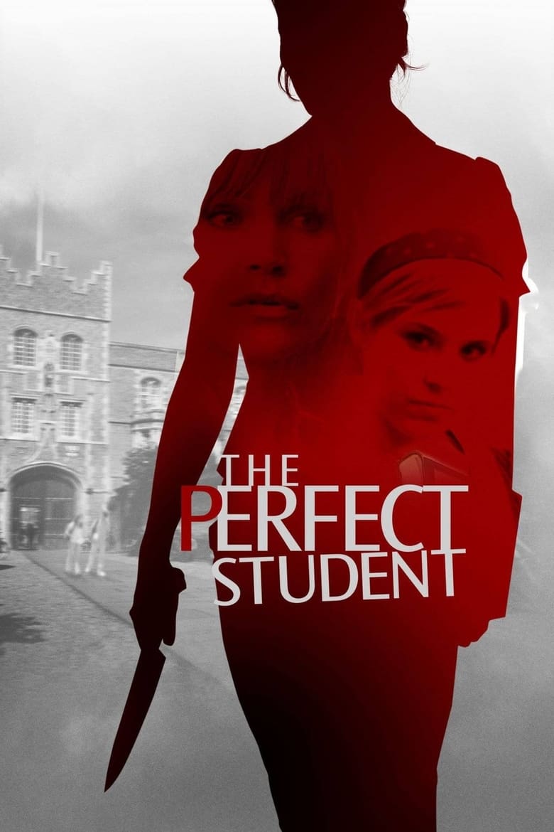 Poster of The Perfect Student