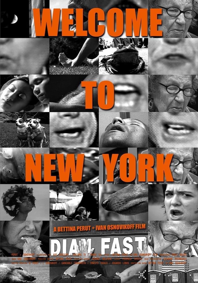 Poster of Welcome to New York