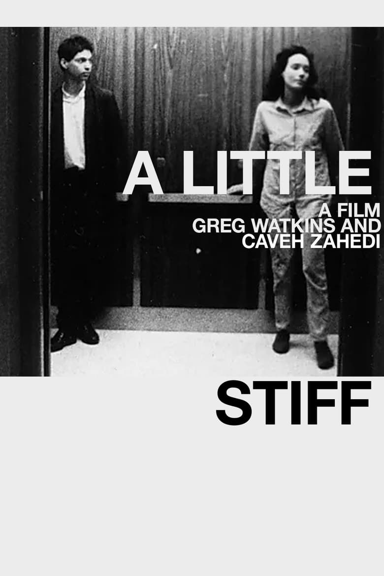 Poster of A Little Stiff