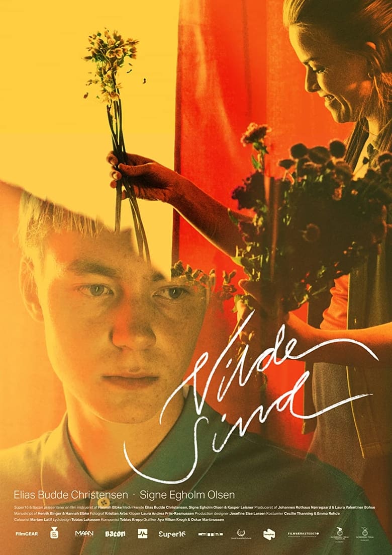 Poster of Vilde sind