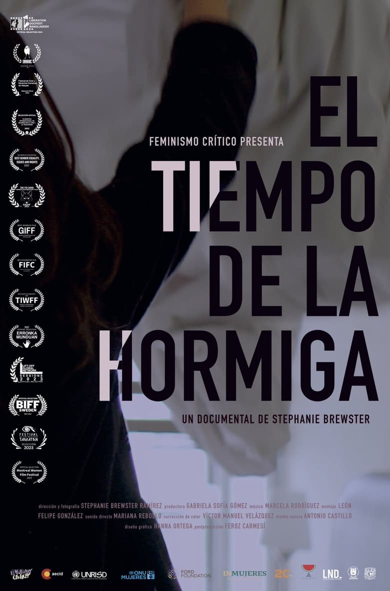 Poster of El tiempo de la hormiga