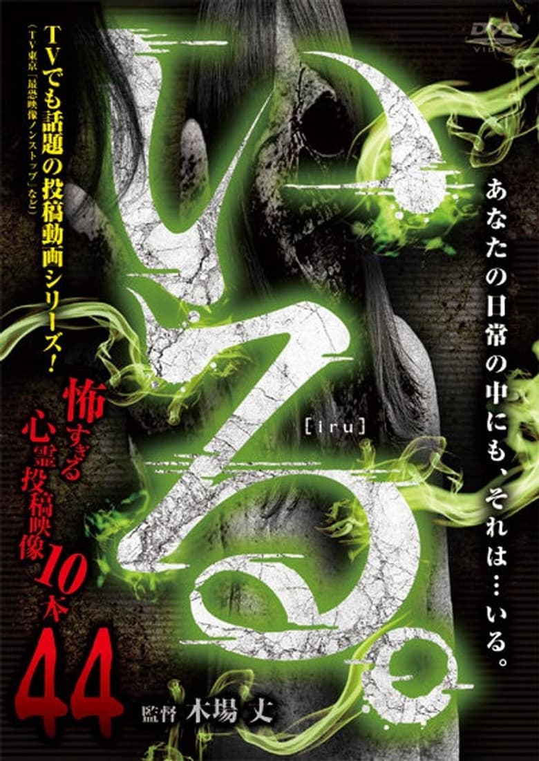 Poster of 「Iru.」~ Kowasugiru Tōkō Eizō 13-hon ~ Vol.44