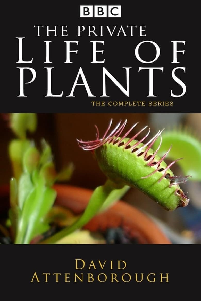 Poster of Episodes in The Private Life Of Plants - Specials - Specials