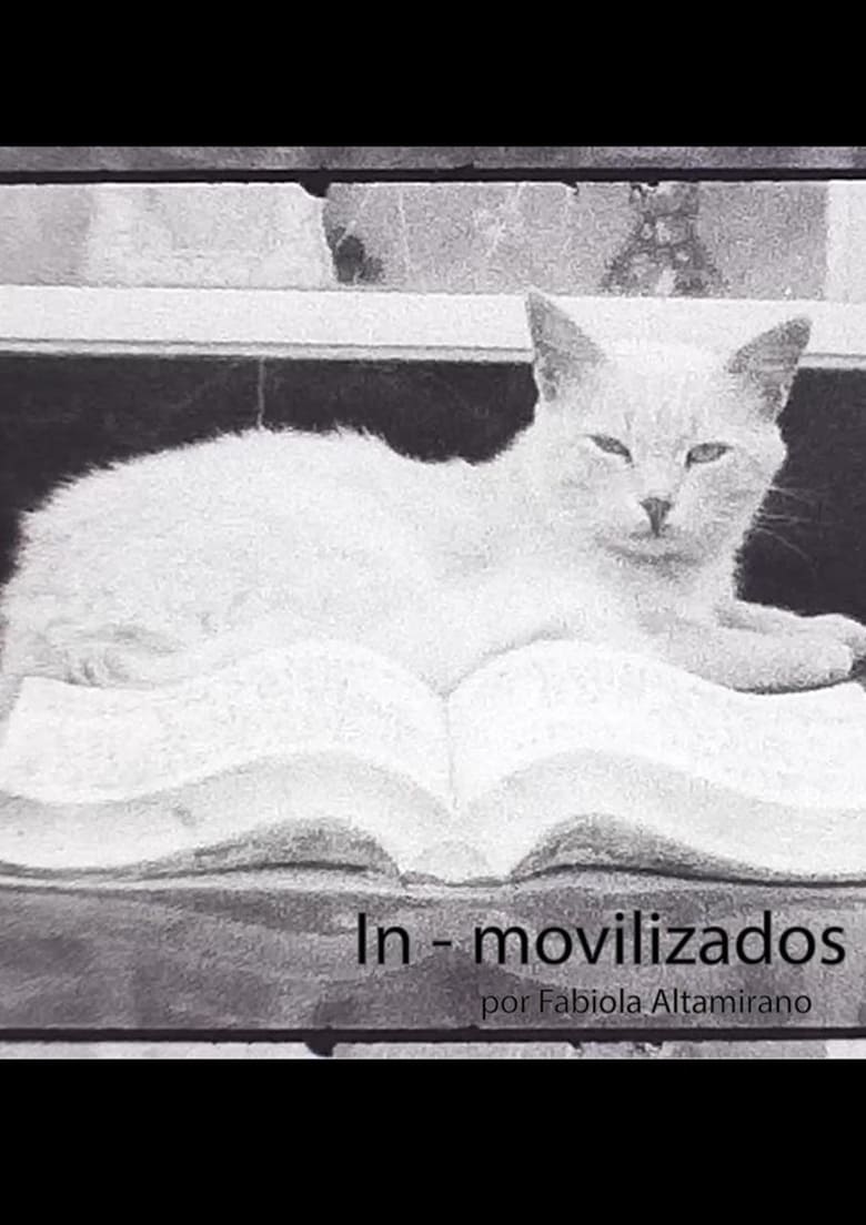 Poster of In - movilizados