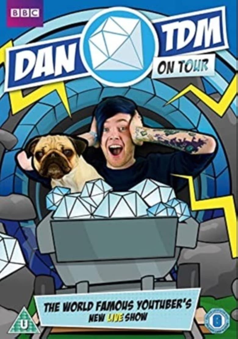 Poster of DanTDM On Tour