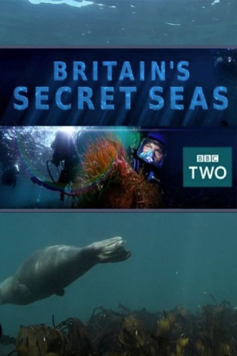 Poster of Britain's Secret Seas