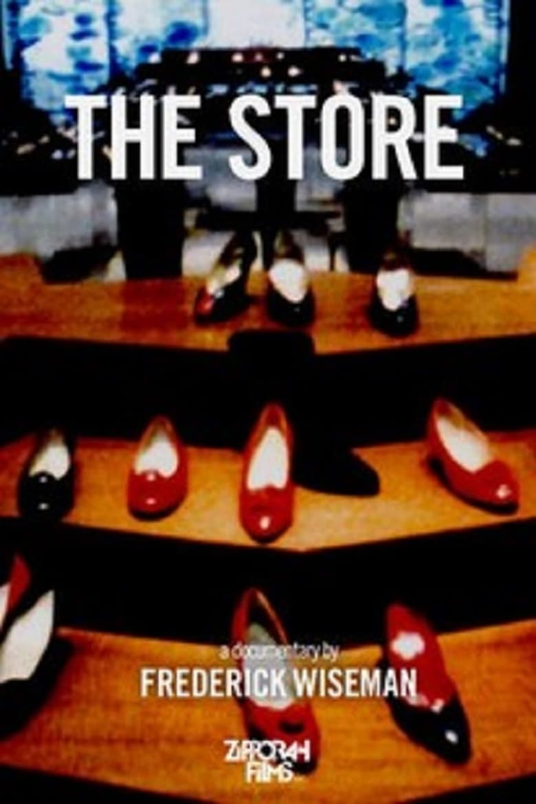 Poster of The Store