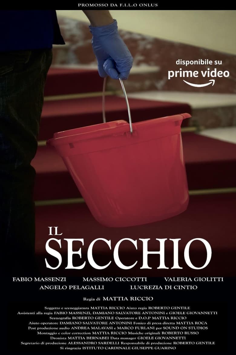 Poster of Il secchio