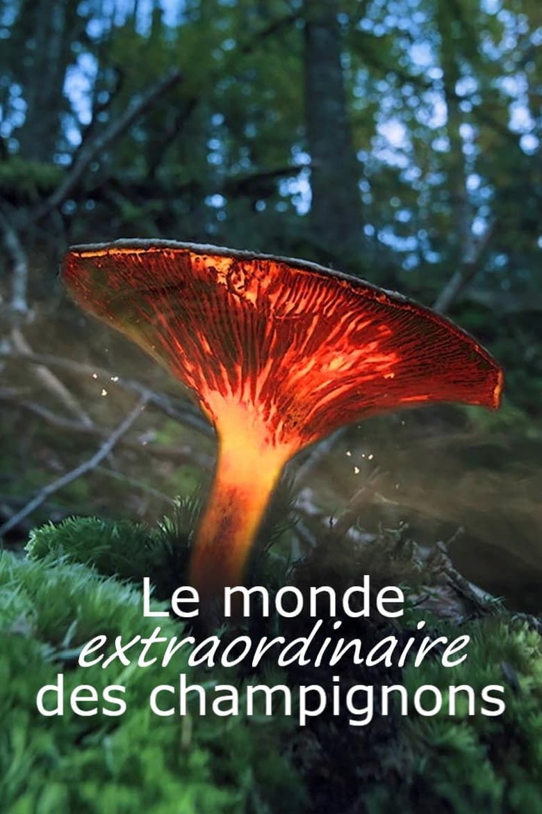 Poster of Le monde extraordinaire des champignons