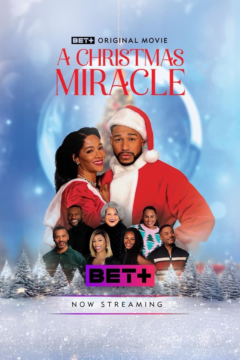 Poster of A Christmas Miracle