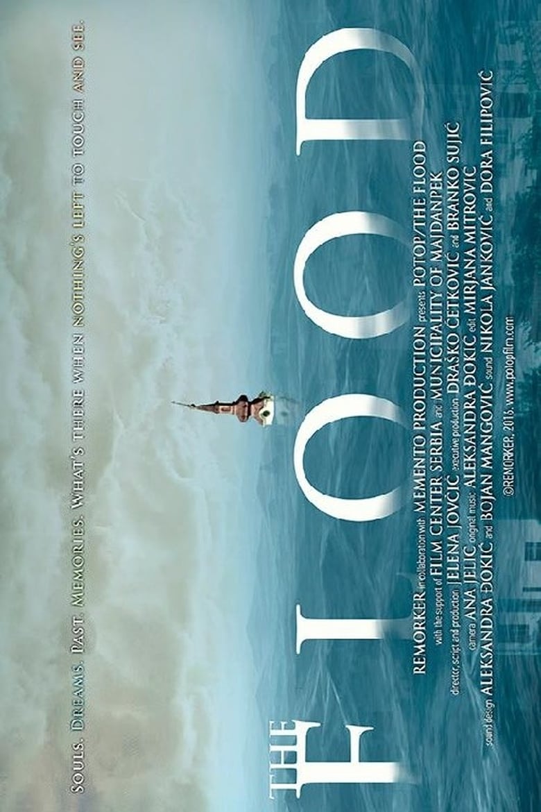 Poster of The Flood