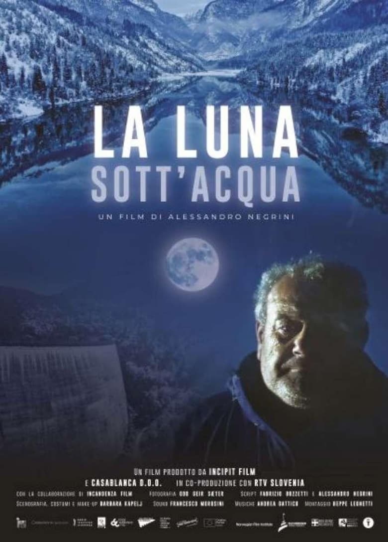 Poster of La luna sott'acqua