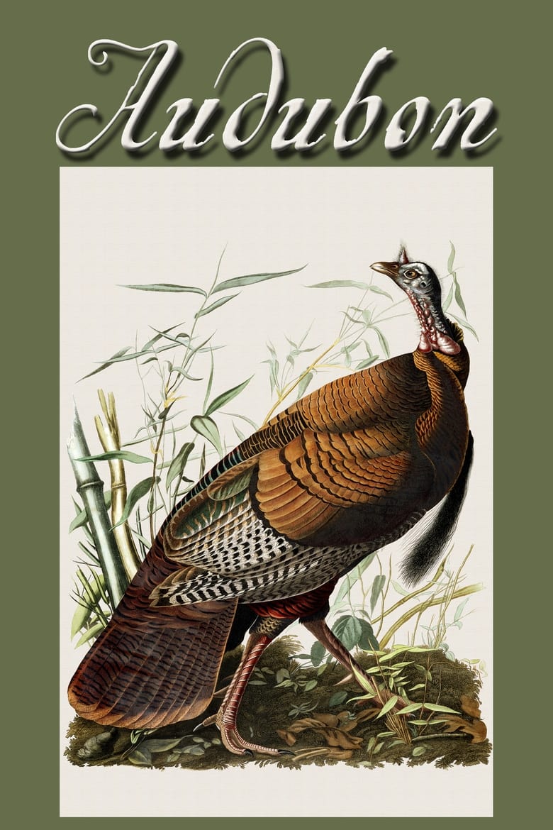 Poster of Audubon