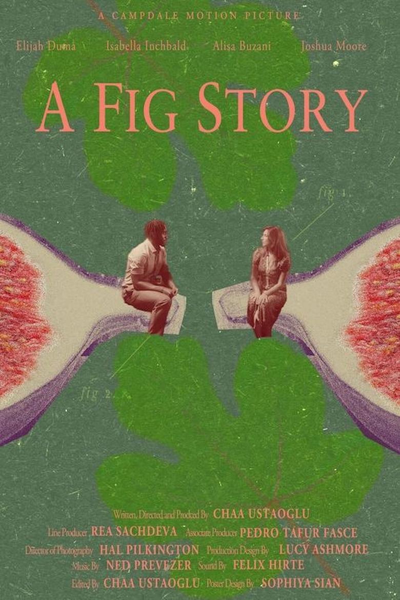 Poster of A Fig Story