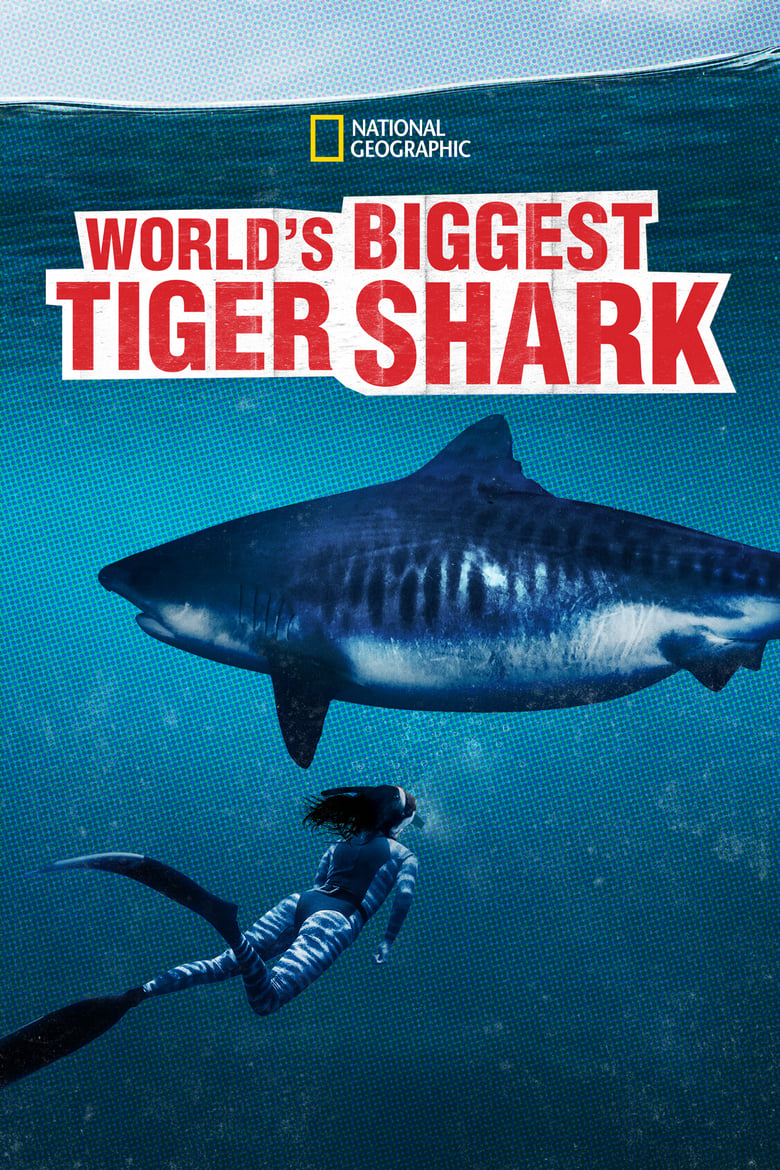 Poster of World's Biggest Tiger Shark