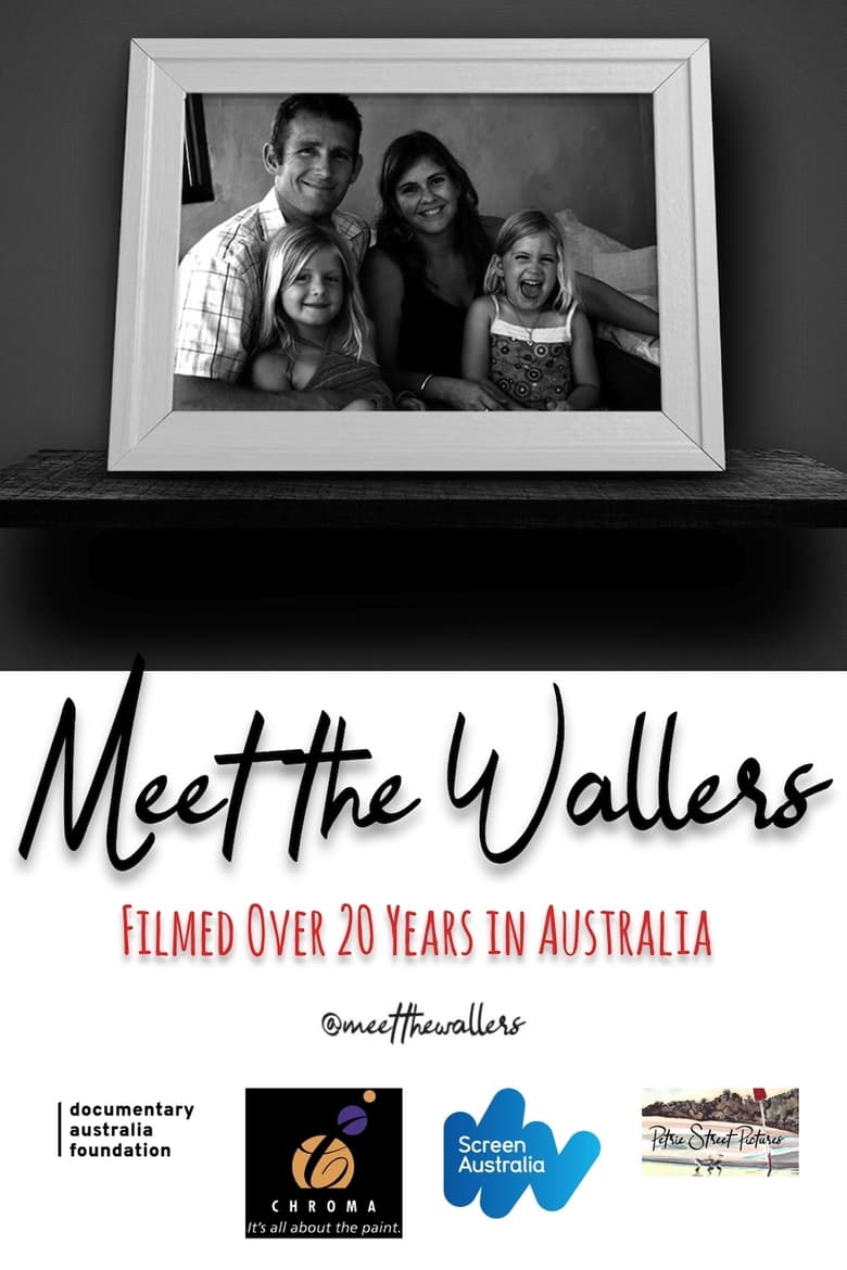 Poster of Meet the Wallers