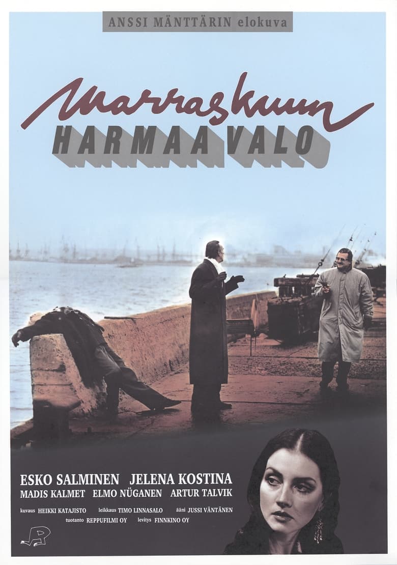 Poster of Marraskuun harmaa valo