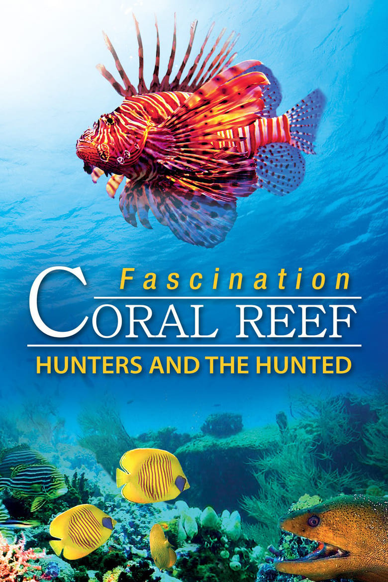 Poster of Fascination Coral Reef: Hunters and the Hunted