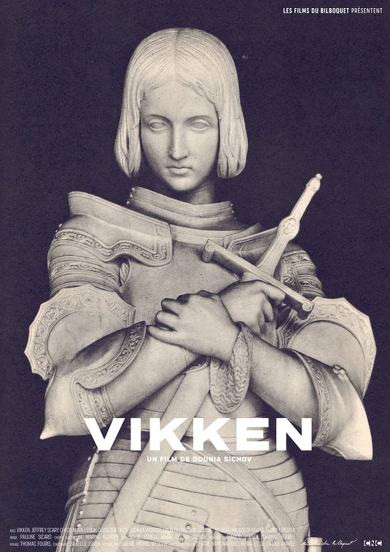 Poster of Vikken