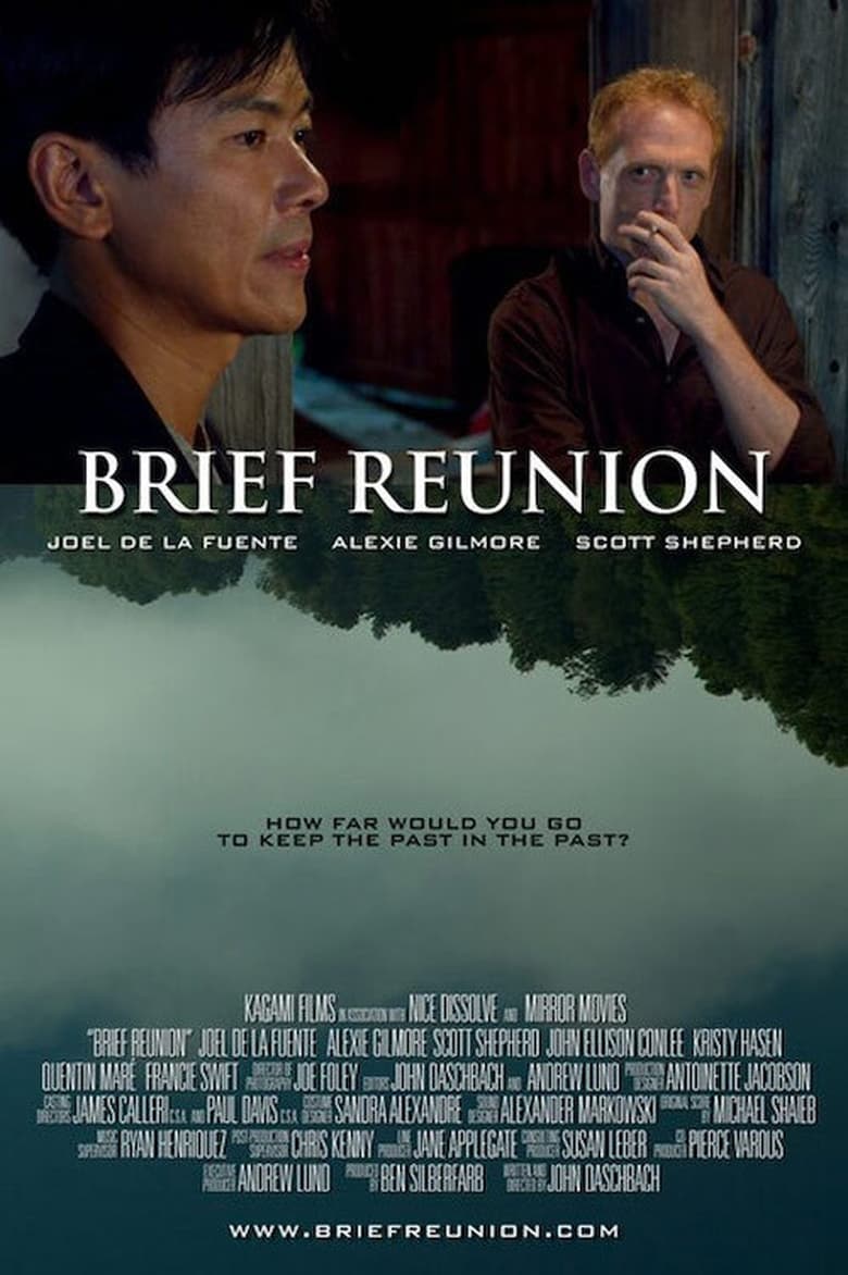 Poster of Brief Reunion