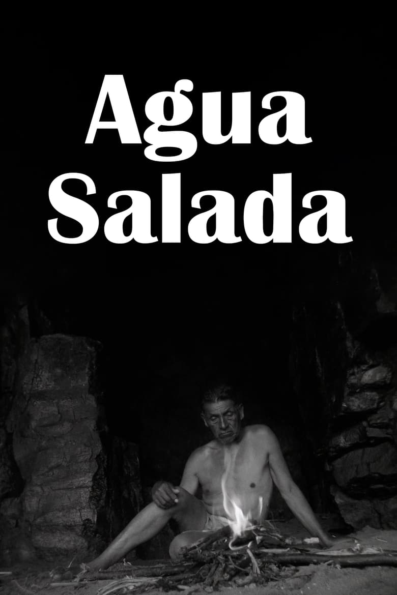 Poster of Agua Salada