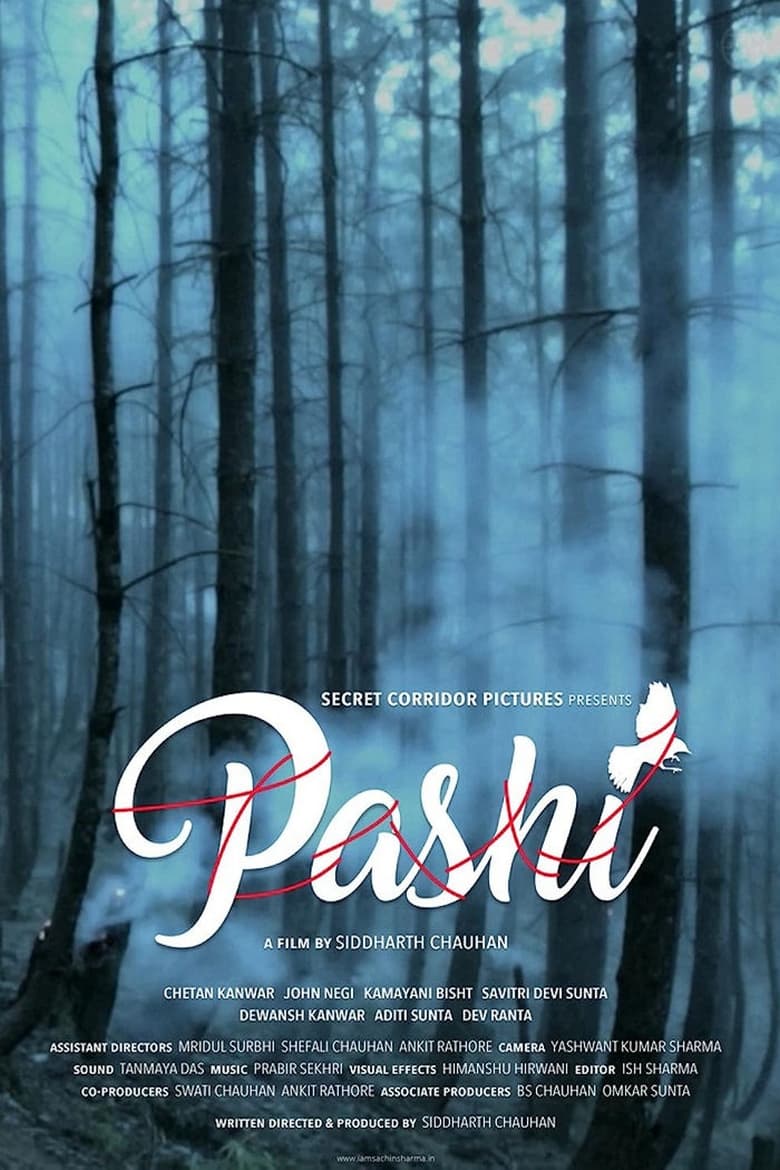 Poster of Pashi