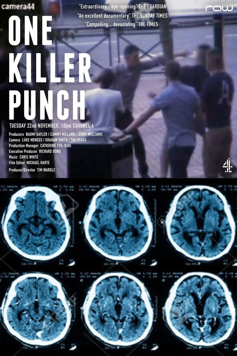 Poster of One Killer Punch