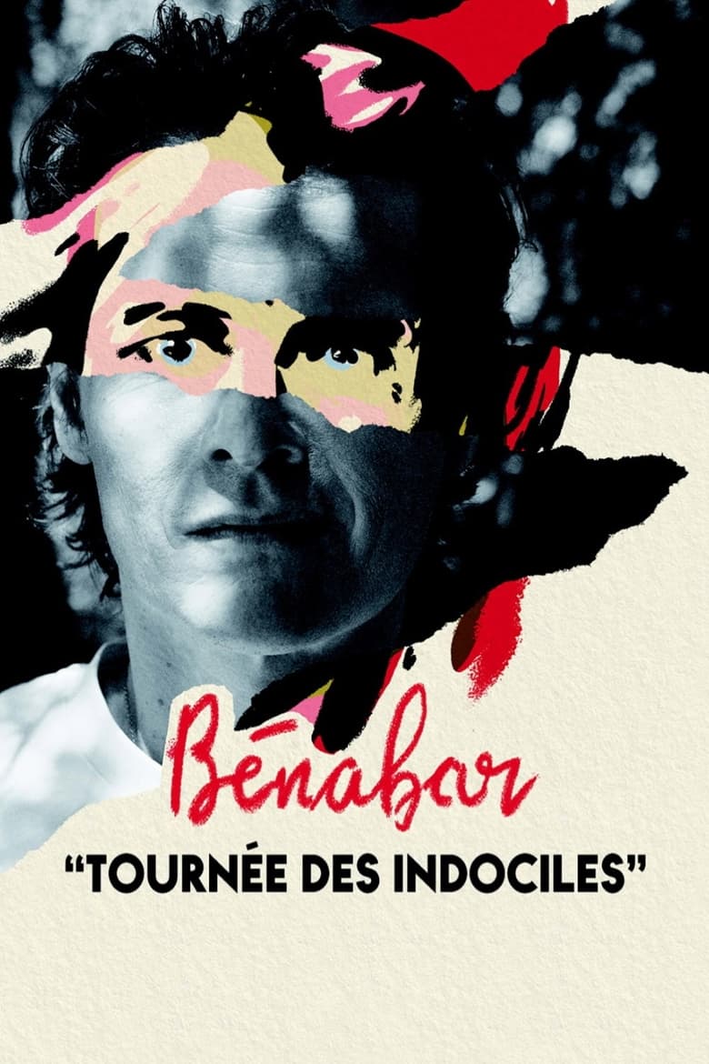 Poster of Bénabar - Tournée des indociles