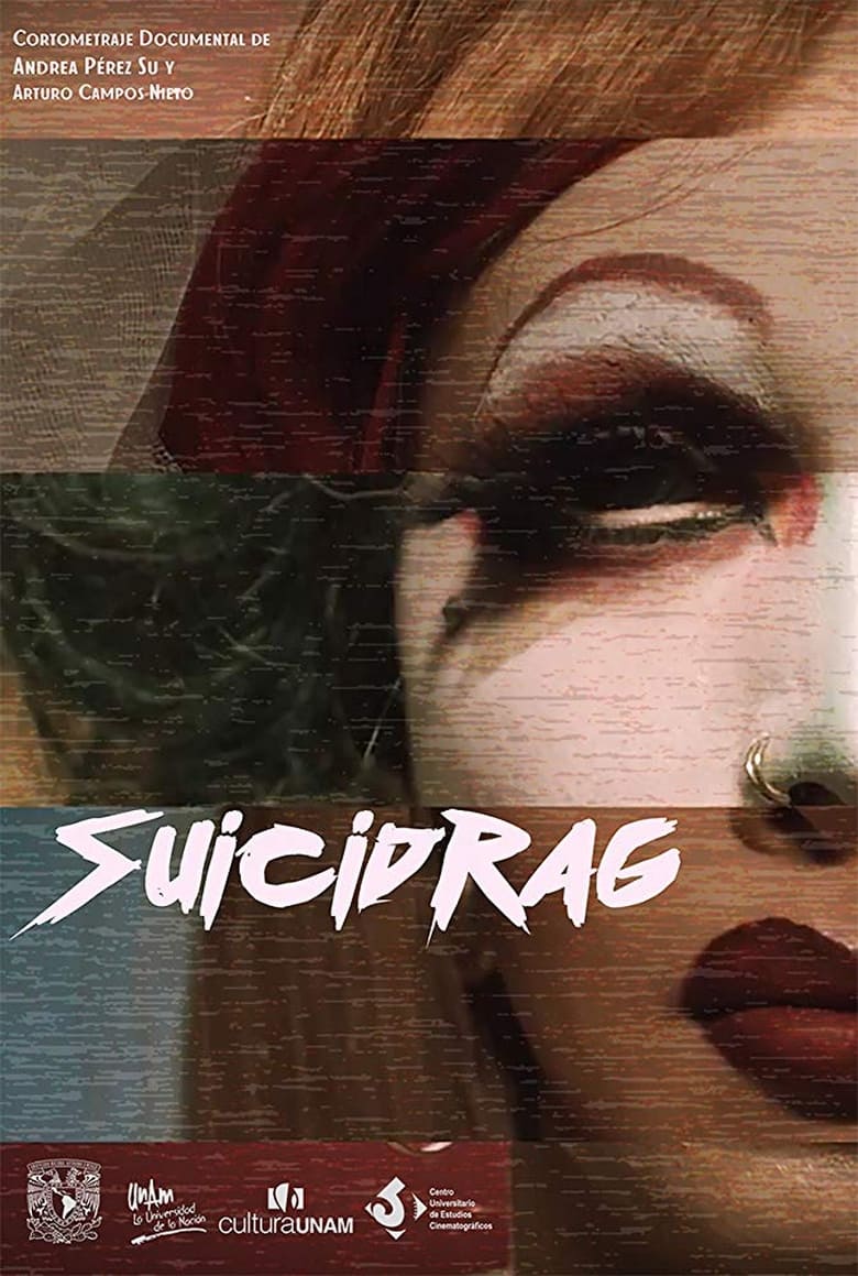 Poster of Suicidrag