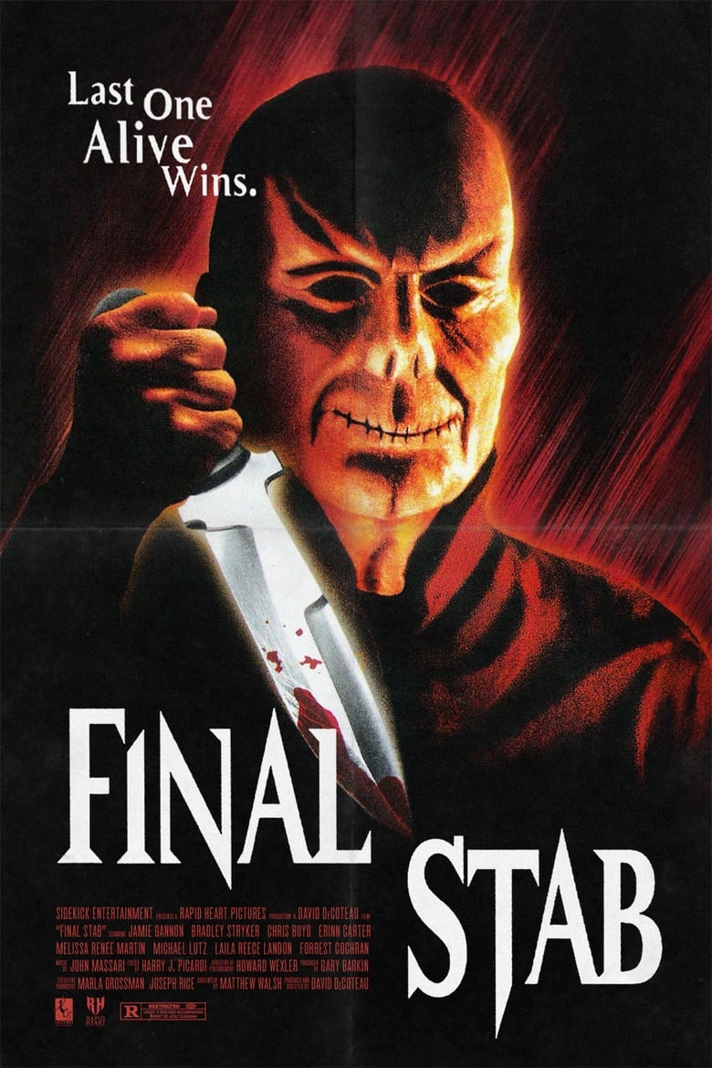 Poster of Final Stab