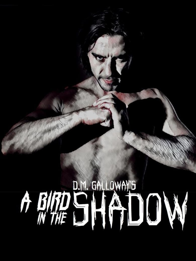 Poster of A Bird In The Shadow