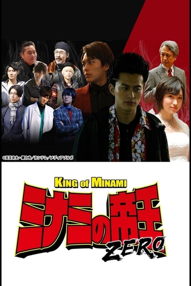 Poster of The King of Minami ZERO